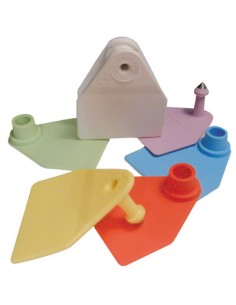 BOUCLE PENTAG FEMELLE + MALE