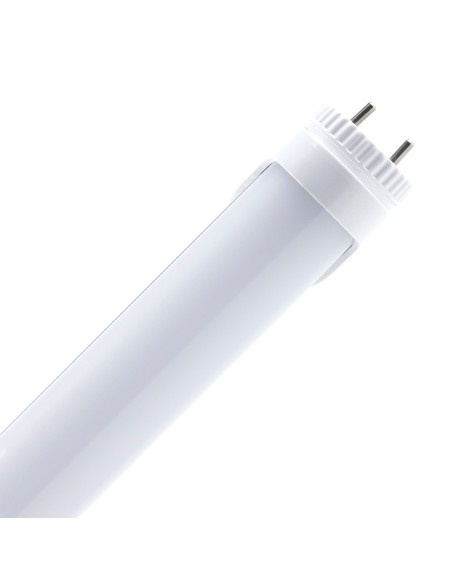 TUBE LED ECONOMIQUE T8 - BLANC 5000 K
