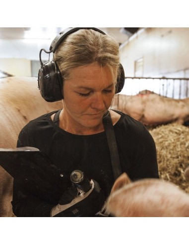 CASQUE ANTI BRUIT PELTOR AVEC RADIO FM 3M