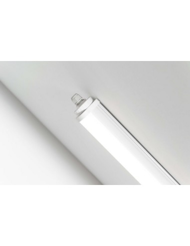 REGLETTE LED INTEGREE ETANCHE SANS TUBE-CROCHETS INOX SUSP