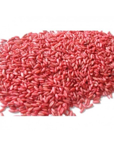 RATICIDE SOURICIDE - AVOINE DECORTIQUEE SPECIAL SOURIS