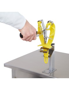 AFFUTEUR DE LAME SHARP EASY 