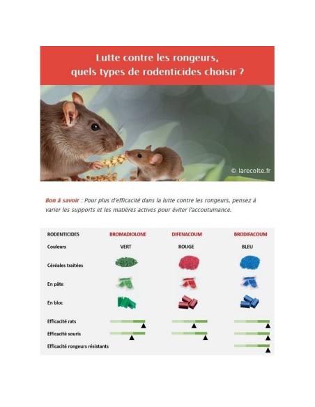 RATICIDE SOURICIDE - AVOINE DECORTIQUEE SPECIAL SOURIS