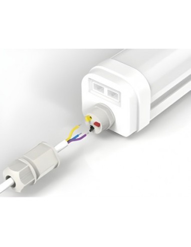 REGLETTE LED INTEGREE ETANCHE SANS TUBE-CROCHETS INOX SUSP