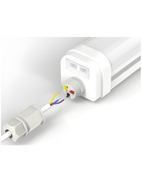 REGLETTE LED INTEGREE ETANCHE SANS TUBE-CROCHETS INOX SUSP