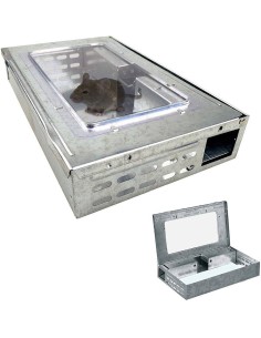 BOITE PIEGE CAPTURE NON CHIMIQUE METAL AVEC COUVERCLE TRANSPARENT