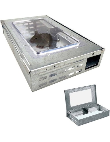 BOITE PIEGE CAPTURE NON CHIMIQUE METAL AVEC COUVERCLE TRANSPARENT
